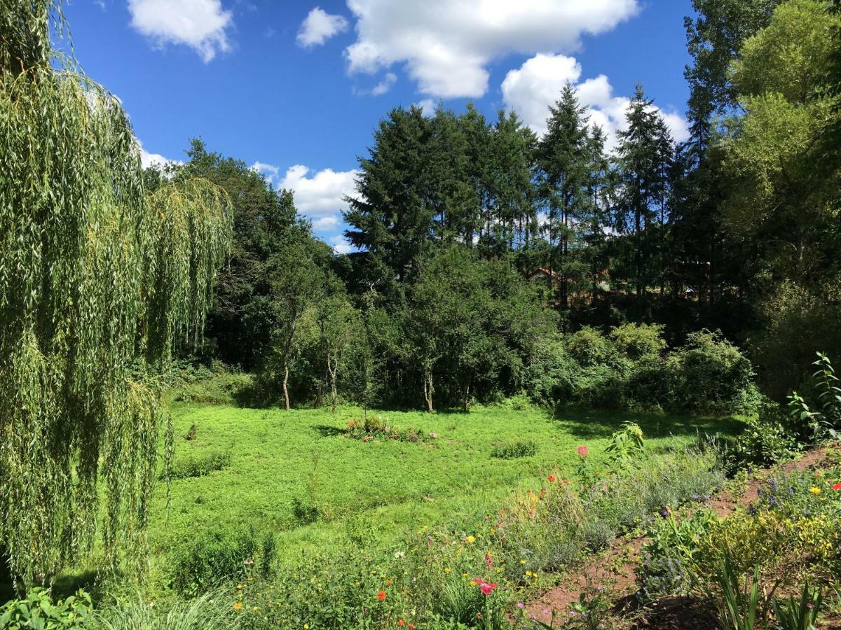 Haagalm Terrasse, Garten Nonnweiler Екстериор снимка